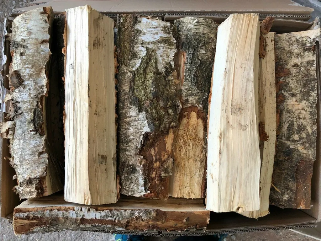 Birkenholz zum Heizen – 25 cm, 60 kg, Produktansicht 1