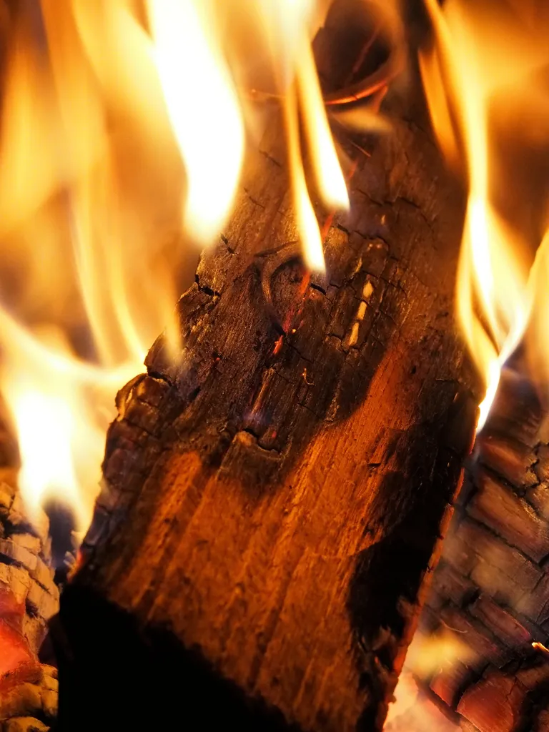 Buchen-Kaminholz – 25/33 cm, mit wählbarem Gewicht, Buche, 33 cm, Produktansicht 2