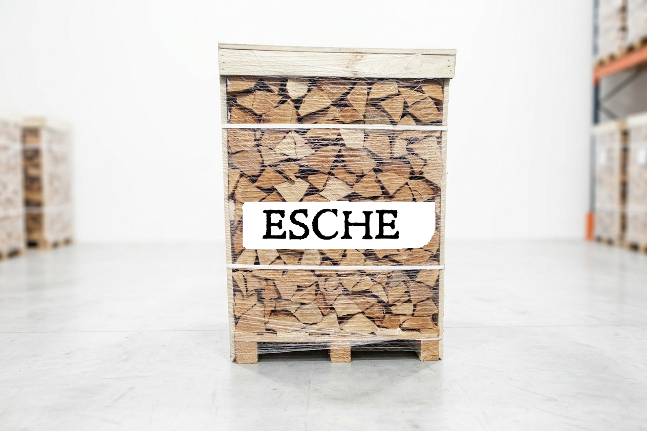 Esche-Kaminholz – Paletteneinheit, 25 cm, 1 RM, Produktansicht 1