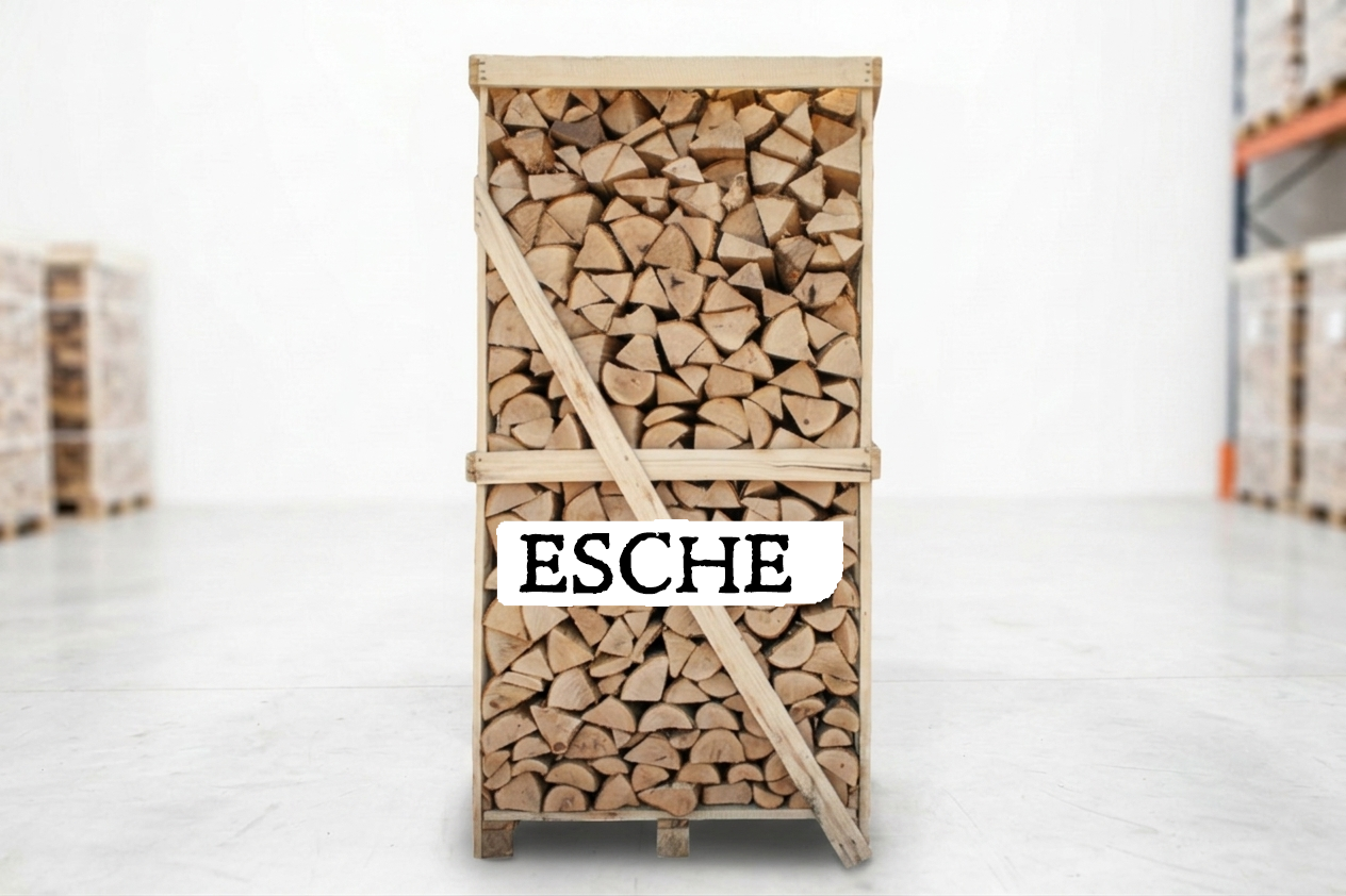 Esche-Kaminholz – Paletteneinheit, 25 cm, 1,8 RM, Produktansicht 1