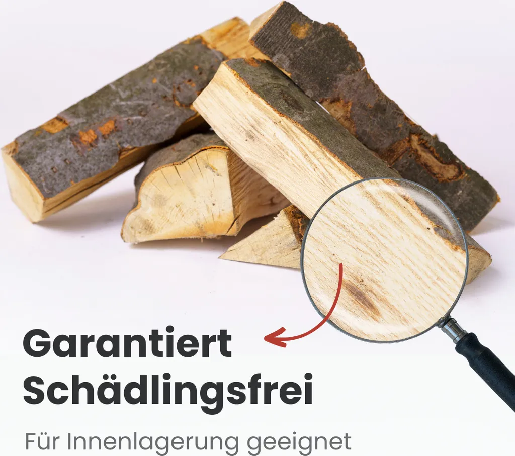 Laubholz-Mix Kaminholz – 1 RM / 1,6 SRM, 25 cm, 500 kg, Produktansicht 5