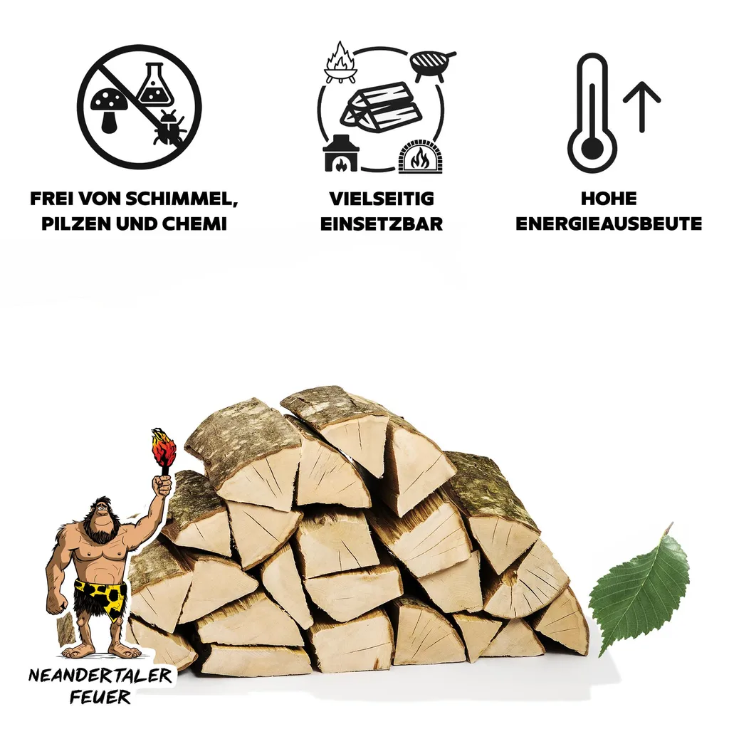 Neandertaler Feuer Hartholz-Kaminholz – 2 RM, 25 cm, Produktansicht 3